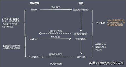 一夜刷屏的200W程序员福利 进阶阿里P6的必备技术栈全解析